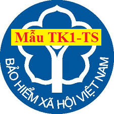 Mẫu TK1-TS