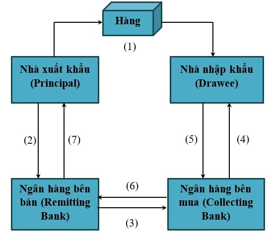 Quy trình thanh toán nhờ thu